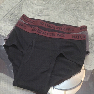 NATURAL FEELINGS PAIR OF BRIEFS LARGE